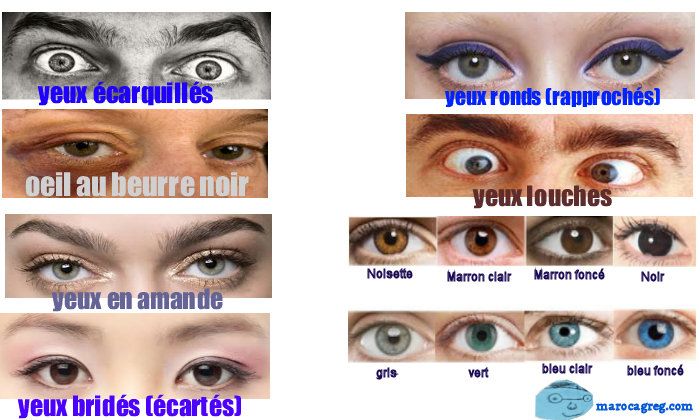 types d'yeux